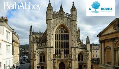 What’s On - Visit Bath