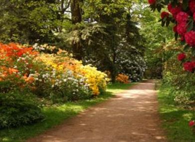 Westonbirt Arboretum