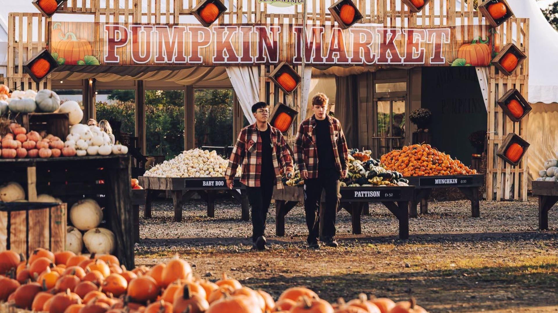 Avon Valley Pumpkin Patch