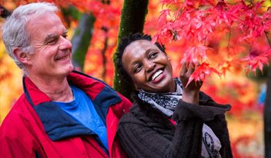 couple gaze up into red and orange leaved tree