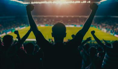 Silhouette football fans celebrating in a stadium, arms raised, with a floodlit pitch in the background. 