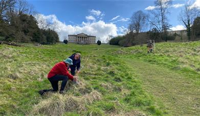Volunteers in the Pasture surveying for water features.
