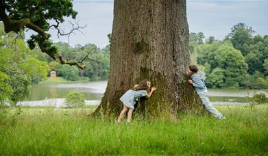 Bowood House and Gardens - Children playing by tree