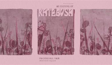 An Evening of Kate Bush tour poster