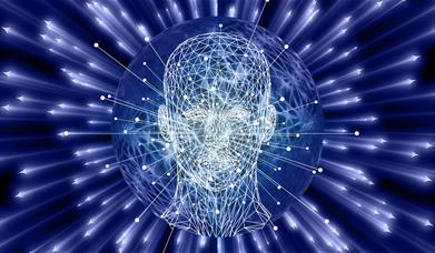 neon view of head and mind