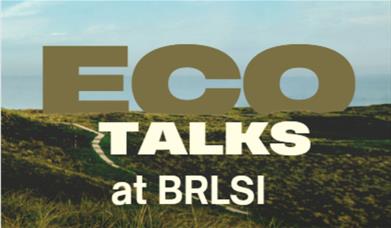 Eco talks words