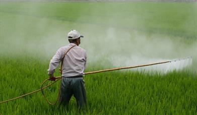 Man spraying crops