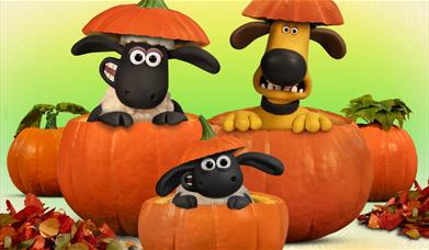Shaun the sheep cartoon characters in pumpkins