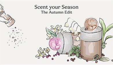 Molton Brown Fragrance