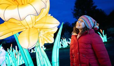 Festival of Light
