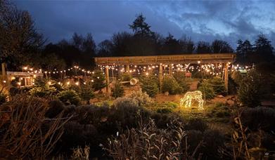 Twinkling lights at Hartley Farm