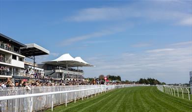 uesday Afternoon - September Flat Racing 2026