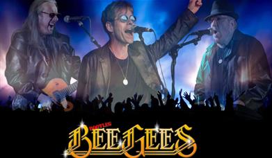 Bootleg Bee Gees