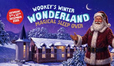 Wookey's Winter Wonderland Magical Sleepover