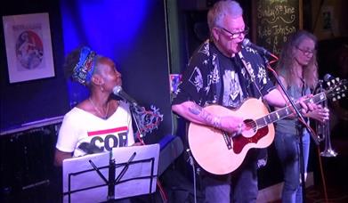 Robb Johnson & the Acoustic Irregulars