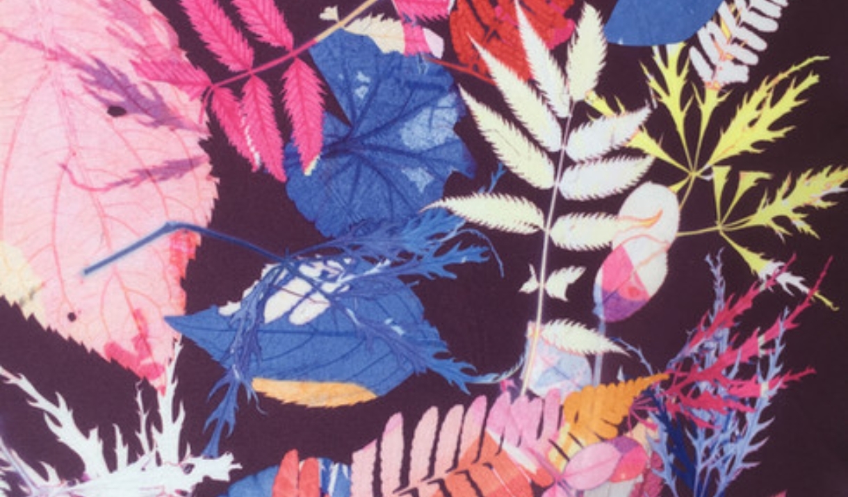 Printing workshop: Leaves