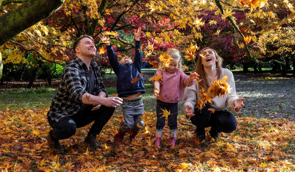 family of four people crouch below yellow leaved tree throwing the leaves up in air