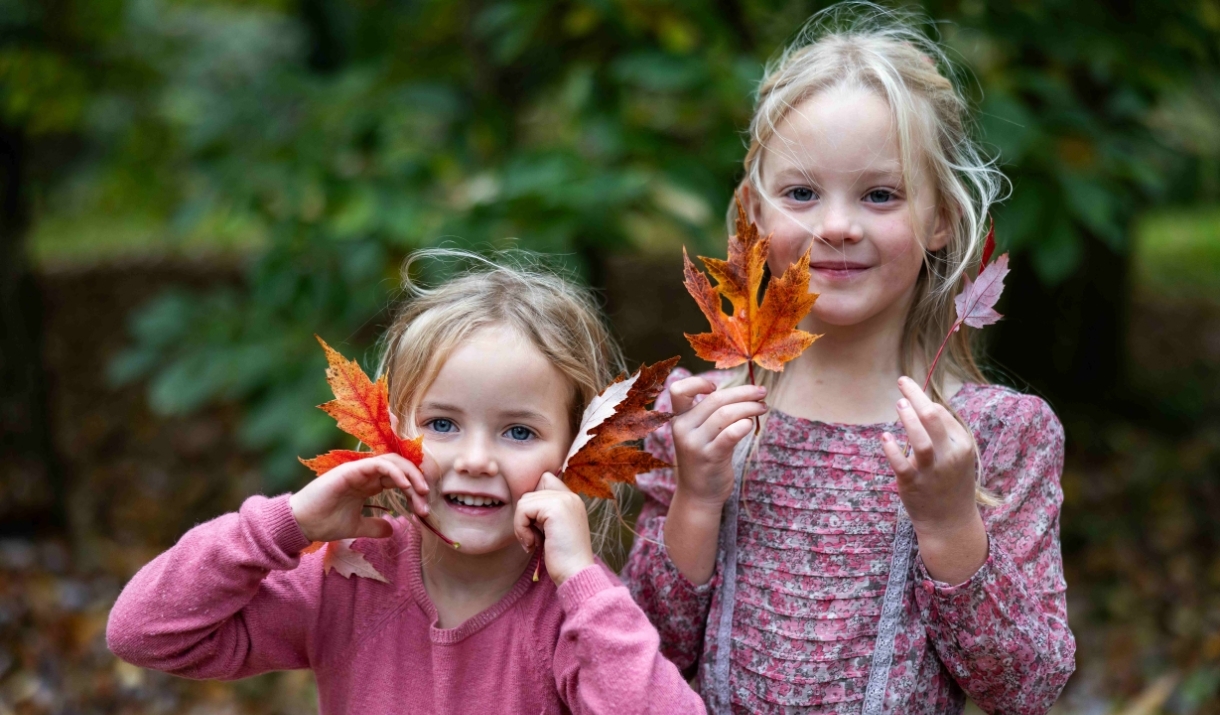 two young girls hold up autumn leaves by their faces