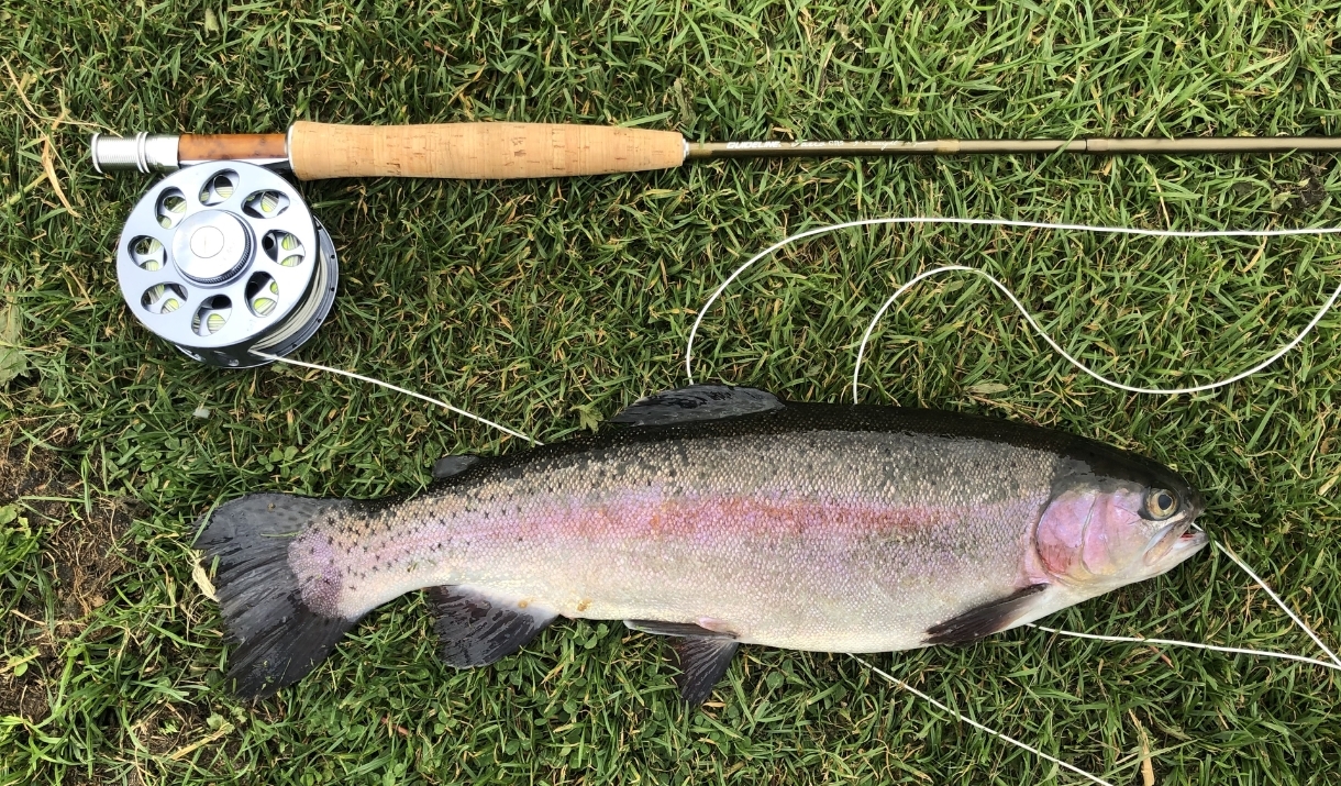 Beginners Fly Fishing with Vale House Kitchen
