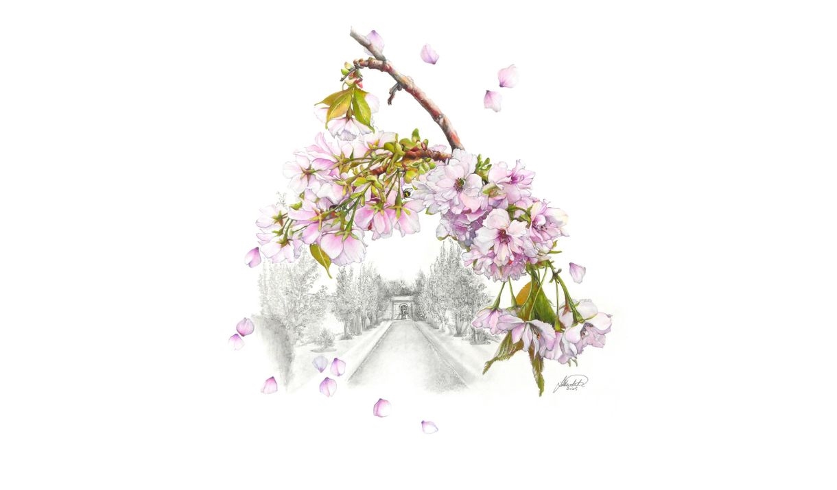 Images: Cherry by Josie White,