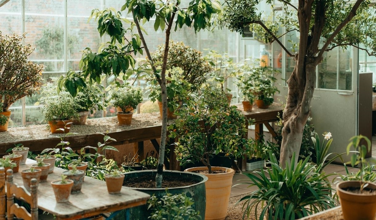 Spring Blub Planting Workshop