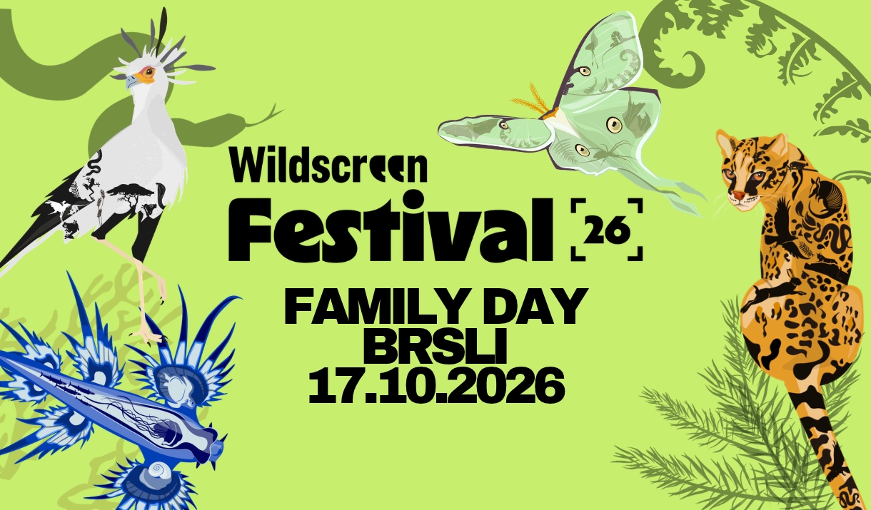 Wildscreen Festival Family Day