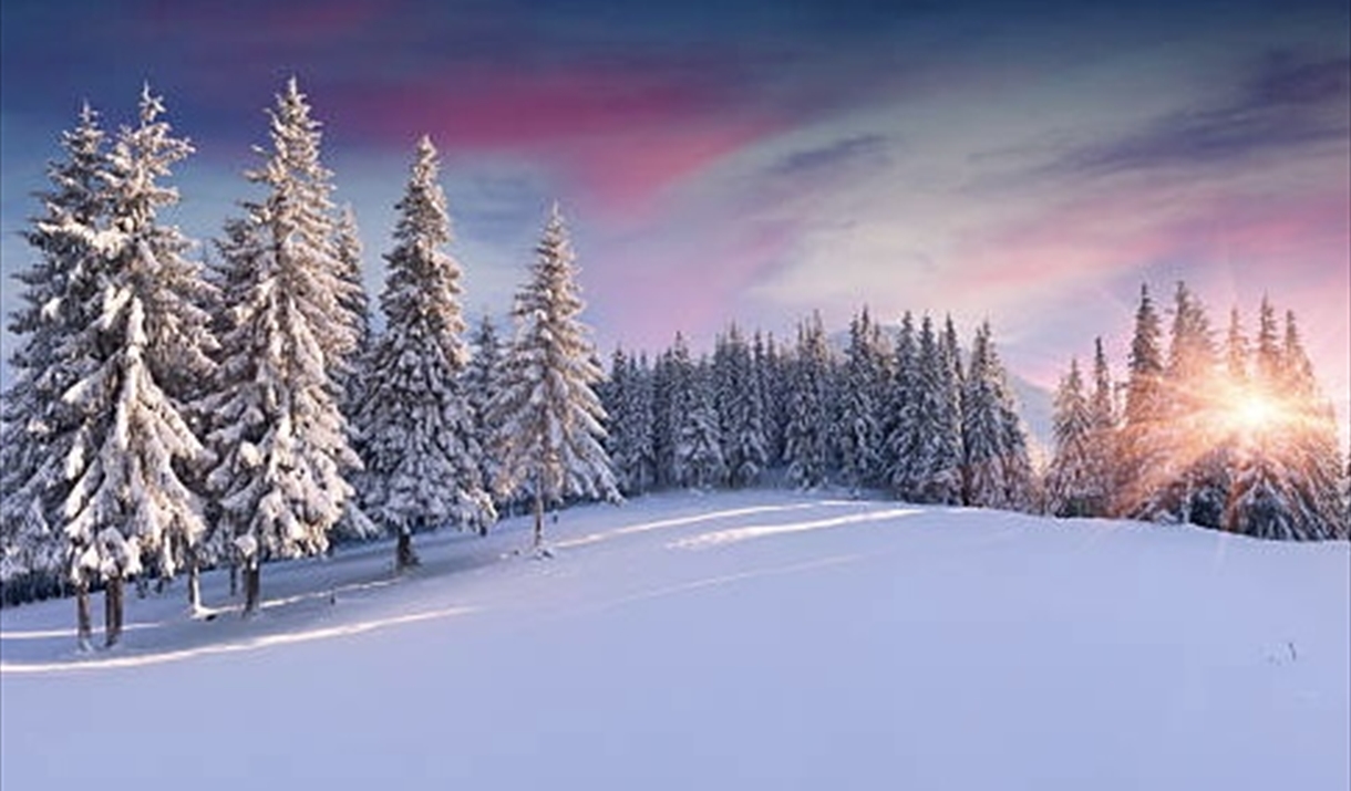 Winter