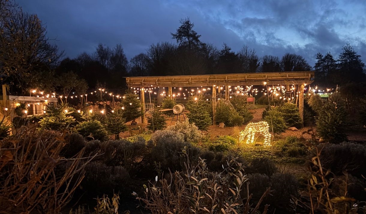 Twinkling lights at Hartley Farm