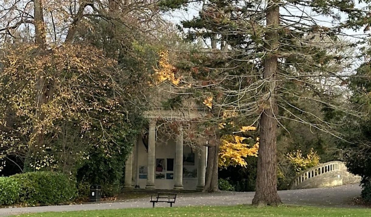 tree