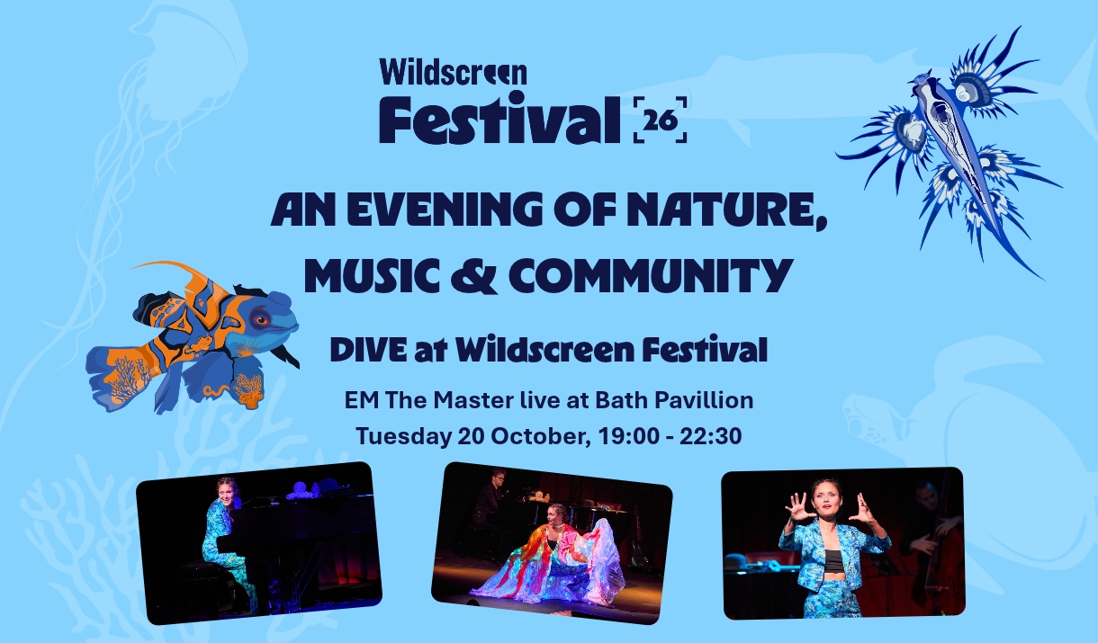 DIVE by EM The Master live at Bath Pavilion