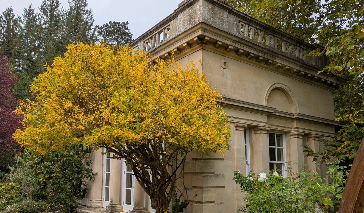 "Second only to Kew" Tree Walk