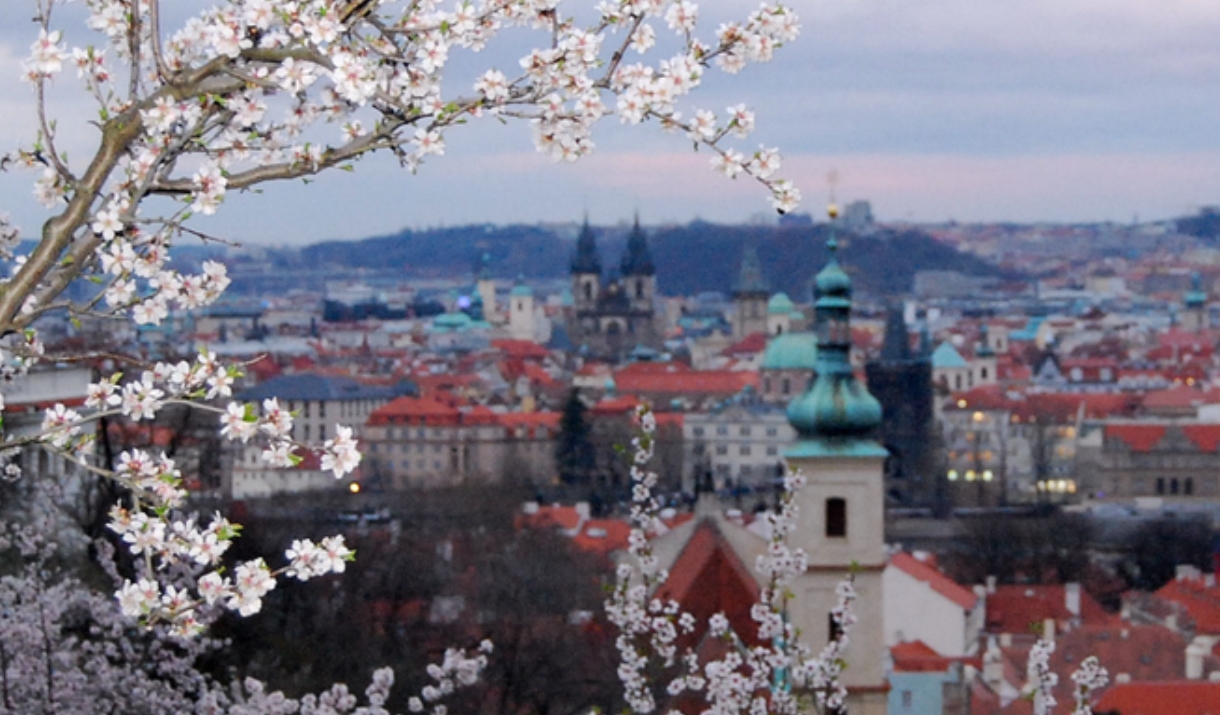 Czech National Symphony Orchestra