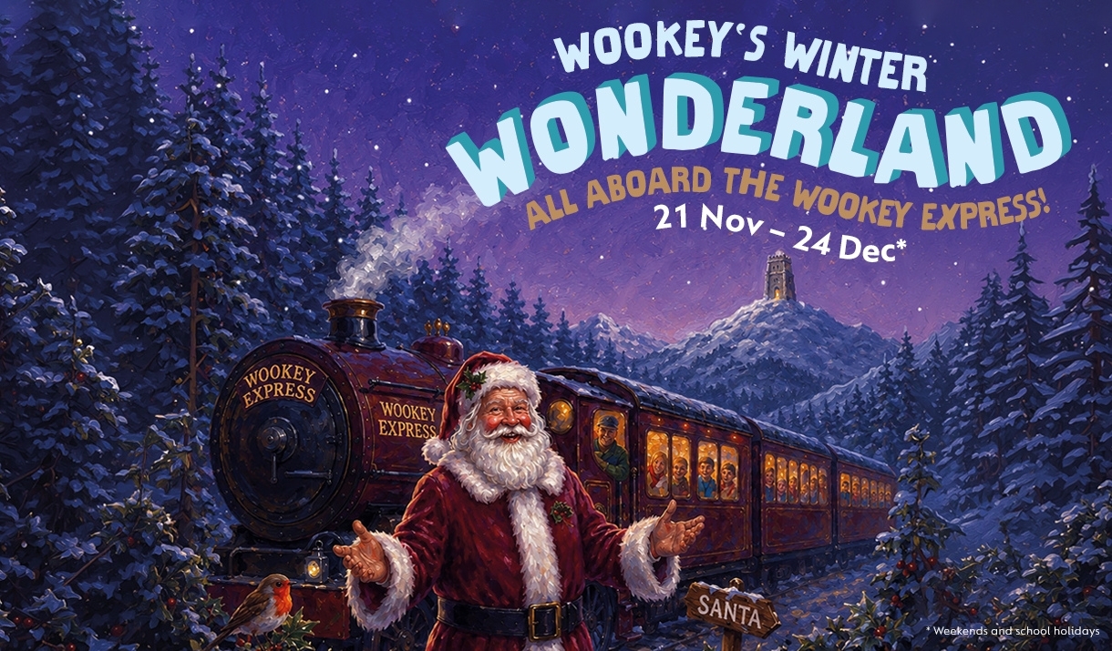 A stylised poster advertising a Winter Wonderland event at Wookey Hole from 21 November - 24 December 2026.