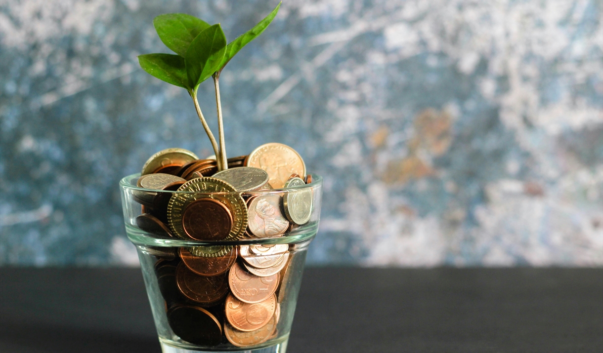A pot of coins with a sapling growing from it