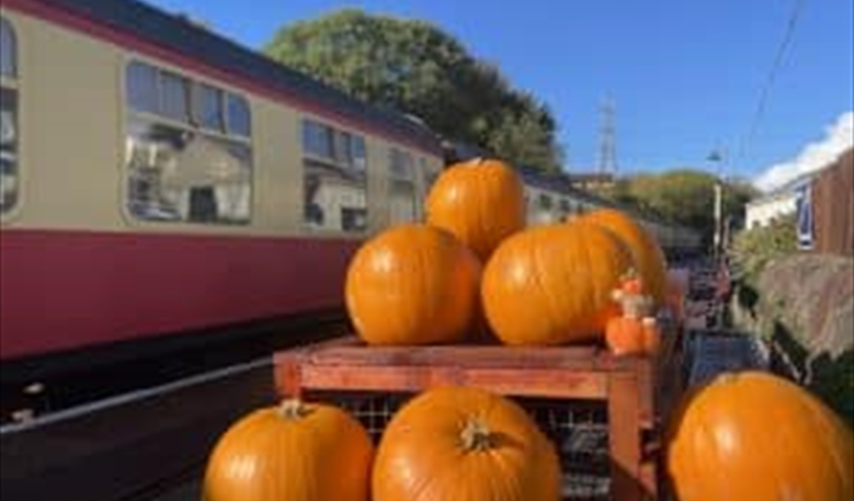 Pumpkins on the platform at Bitton Station