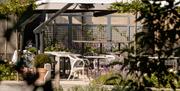 Terrace area