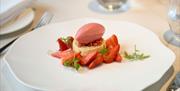 Fruit and Sorbet