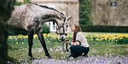Woman crouched on the ground looking up to a mottled grey horse, holding it's reigns with purple flowers and daffodils around her.