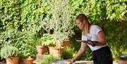 A woman in a white shirt and black pants sets drinks on an outdoor table in a garden with potted plants and greenery in the background.