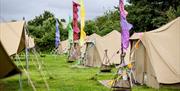 Rows of large tents, with brightly-coloured flags in front of each
