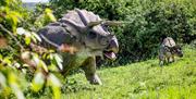 Adult and baby triceratops models on a grassy hill
