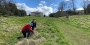 Volunteers in the Pasture surveying for water features.