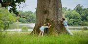 Bowood House and Gardens - Children playing by tree