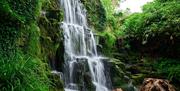 Bowood House and Gardens - Waterfall