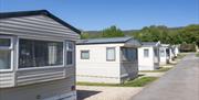 One of the static caravans at Bucklegrove Holiday Park