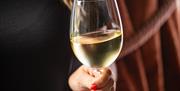 glass of wine