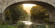 View under Avoncliff Aqueduct from The Cross Guns pub, near Bath.