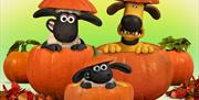 Shaun the sheep cartoon characters in pumpkins