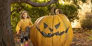 A small child running next to a giant pumpkin