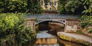 Sydney Gardens